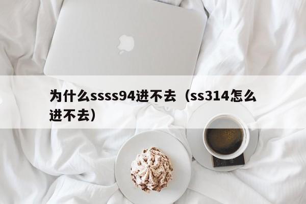 为什么ssss94进不去（ss314怎么进不去）