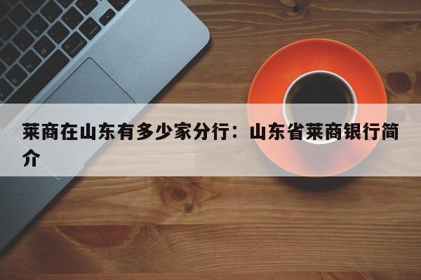 莱商在山东有多少家分行：山东省莱商银行简介